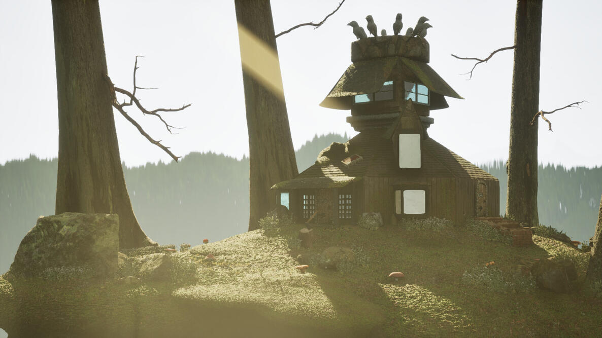 Environments
